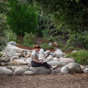 A person sits atop a large stone and writes in a notebook, surrounded by a patch of other large stones. Green foliage frames the person on all sides.