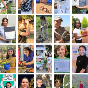 International Young Eco-Hero Awards | Action For Nature