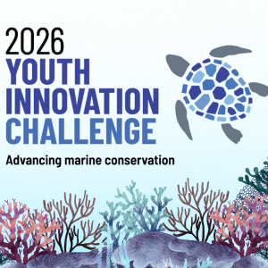 2026 YIC call for applications 