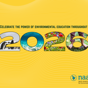 A 12-month calendar highlights the various environmental education-themed holidays throughout the year.