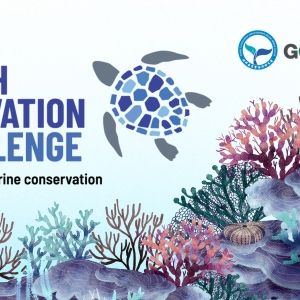 2026 YIC call for applications 