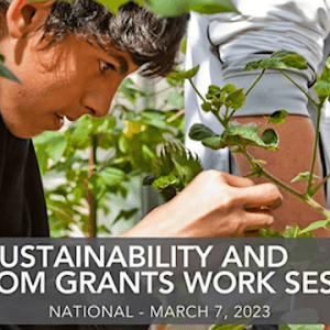 decorative image of male student inspecting a plant