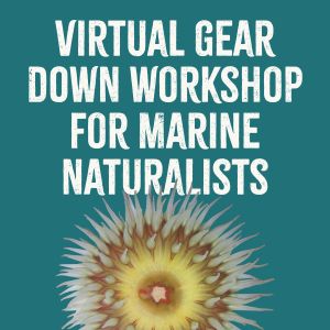 TWM's 2023 virtual Gear Down Workshop for Marine Naturalists