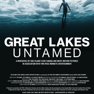 Film poster of a diver surfacing an ice hole