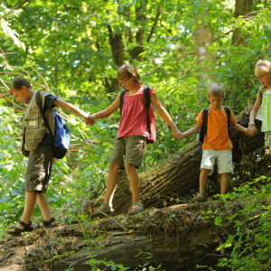 Four children hold hands and walk along a fallen tree; a green forested area is behind them
