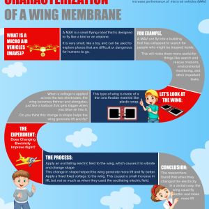 INFOGRAPHIC AERODYNAMIC CHARACTERIZATION OF A WING MEMBRANE