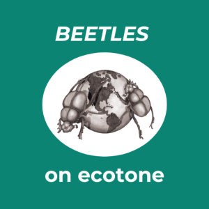 BEETLES logo of two beetles climbing over a small globe; text says "BEETLES on ecotone"