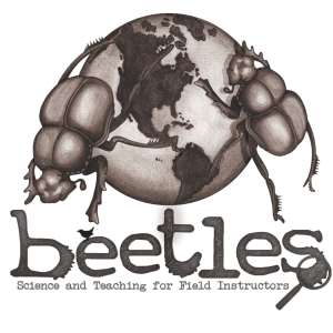 BEETLES logo of two beetles climbing over a small globe