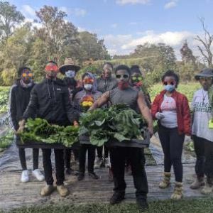 BHRL students participate in summer paid summer internships