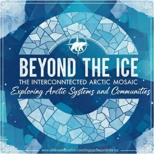 Promotional image for Beyond the Ice