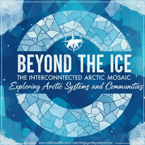 Beyond the Ice: The Interconnected Arctic Mosaic