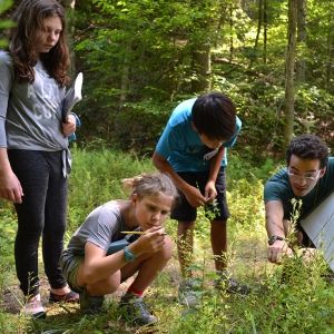 Three children examine a small stand of plants in the forest. Beside them, a kneeling young adult points to one of the plants.