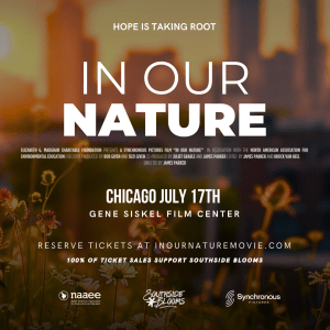 Chicago skyline in the background with text that reads, "In Our Nature" in front