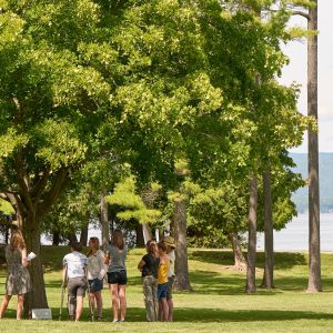 A group of people standing under a tree, with a lake and mountains in the background