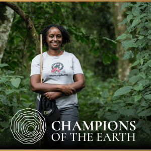 Person standing in forest. "Champions of the Earth"