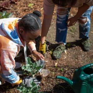 Two Black girls planting green leaf vegetables in a community garden