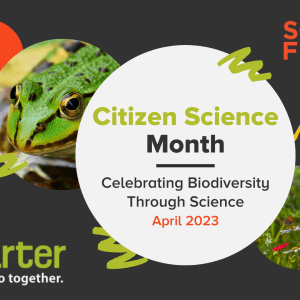 Science Friday logo, "Citizen Science Month: Celebrating Biodiversity Through Science April 2023" scistarter: Science we can do together on black background with white, red, yellow graphics