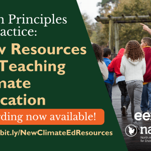 Educator walks students along boardwalk teaching about wetland ecosystems