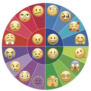 Climate Emotions Wheel show various face emojis with different feelings