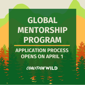 A graphic announces a "GLOBAL MENTORSHIP PROGRAM." Below this, in smaller text, it states "APPLICATION PROCESS OPENS ON APRIL 1"