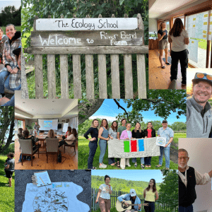 Collage of pictures from the Leading Beyond Green Institute 2023