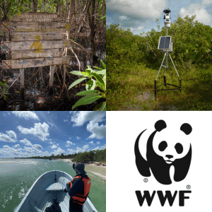 A square features four separate images: top left corner has a sign in the forest, top right has a solar panel-charged device sitting in grass, bottom left features a person in a boat, and the bottom right has the WWF panda logo