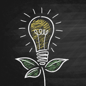 A chalk-drawn lightbulb sprouts from a small green plant, all on a black chalkboard background