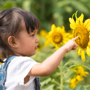 A child pokes a sunflower to their right; behind them are more sunflowers and a blurred garden