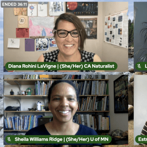 Image of moderator and 3 panelists interviewed during the interview