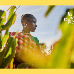 A woman in a corn field in a background image with The EQUATOR UN PRIZE DP logo, featuring stylized text and a graphic element.