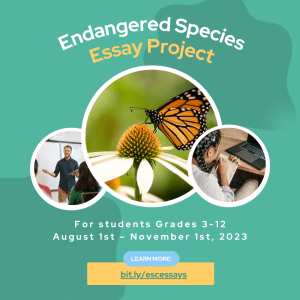 Image shows students writing essays and a monarch butterfly under the text "Endangered Species Essay Project."