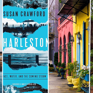 A grid of four images, each side-by-side. The images left to right show a wetland, a book cover with text that reads "Susan Crawford. Charleston," a multi-colored row of buildings, and a tree