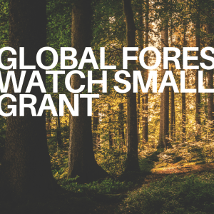 The image displays the text "GLOBAL FOREST WATCH SMALL GRANT overlaid on a photograph of a dense forest