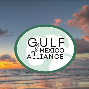 A beach at sunset with a green logo on the right with black text that reads "Gulf of Mexico Alliance"