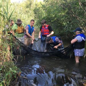 Six people wearing life jackets are standing in a creek. They are all holding onto a large black net, and looking at what’s inside. One person is bent over with their arm outstretched looking for something in the net. 