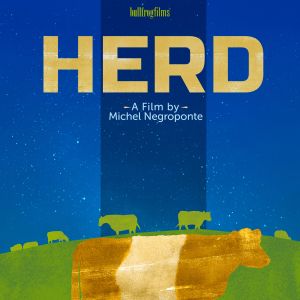 Film poster, text reads "bullfrog films, Herd, A Film by Michel Negroponte"; a cow's silhouette is centered against a green field and blue night sky background