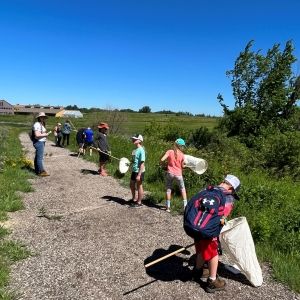 Students and educators out in the prairie using nets to catch and observe pollinators.