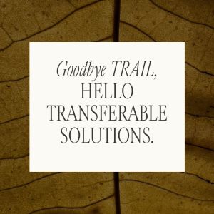 Single brown leaf in background behind words as featured image in inaugural issue of "Transferable Solutions"