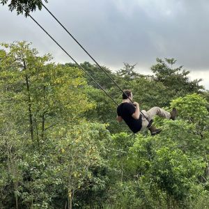 Person on a swing, enjoying a sweeping view of trees in the Galapagos Highlands