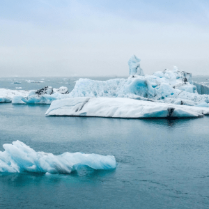 Scattered icebergs sit atop a calm ocean; a cloudy sky is in the background