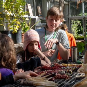 Finn Boss, a current grad, teaches students about maize domestication in the IslandWood greenhouse