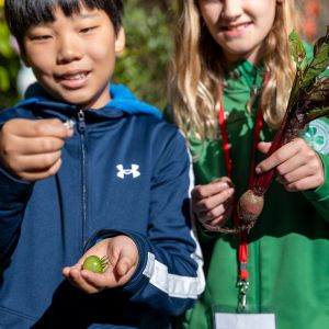School Overnight Students exploring the IslandWood garden