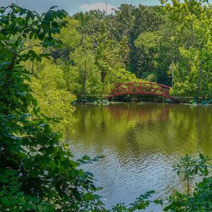 A small lake surrounded by forest in summer foliage. In the distance, a red arched bridge extends over a small portion of the lake. Above, blue sky.
