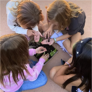 Students sit and examine worms pulled from a dark rich soil. 