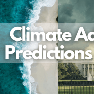 Text reads "Climate Adaptation Predictions for 2025: What the Experts Say"; text is above three photos: a beach, the U.S. Capitol building behind a fence, trees silhouetted by a fire