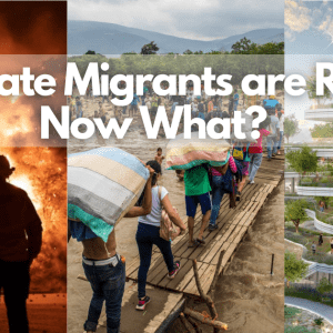 Text over three photos reads "Climate Migrants are Real - Now What?"; first photo shows a silhouette standing in front of a fire, second shows a group of people walking across a wooden bridge; third shows a tall glass building with trees