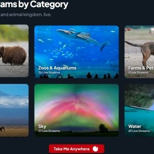 Explore Live Nature & Wildlife Cameras By Category