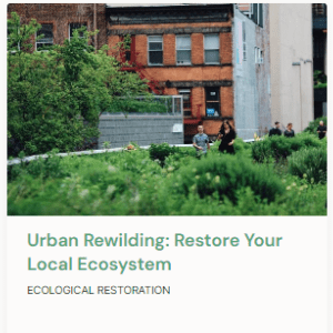 List of rewilding courses 