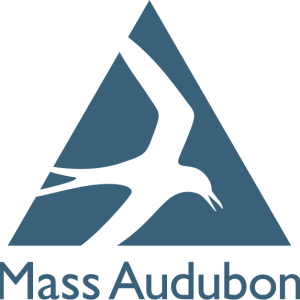 Blue triangle with Tern flying over the words Mass Audubon
