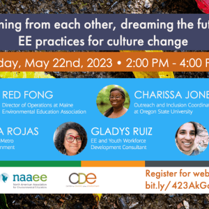 Webinar: Learning from each other, dreaming the future: EE practices for culture change